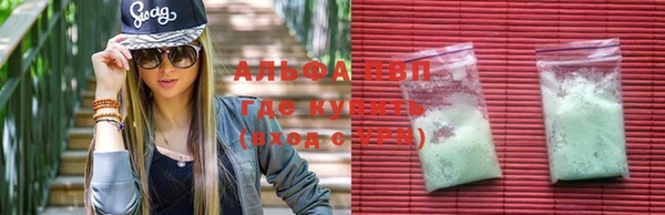 сатива Балахна