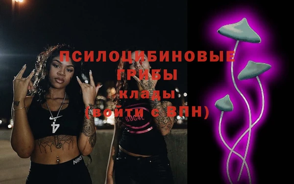 сатива Балахна
