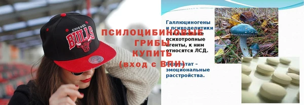 соль ск Балабаново