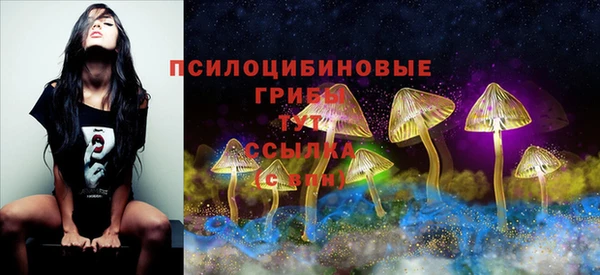 соль ск Балабаново