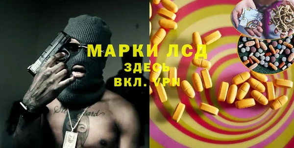 молекула духа Арсеньев