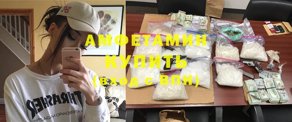 сатива Балахна