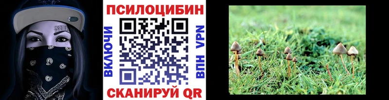 Псилоцибиновые грибы прущие грибы Солнечногорск